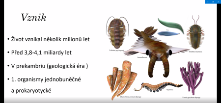 dzprima2 (1) - kopie